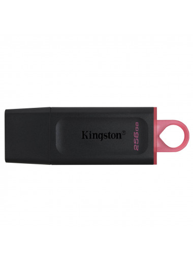PENDRIVE KINGSTON EXODIA DTX/256GB
