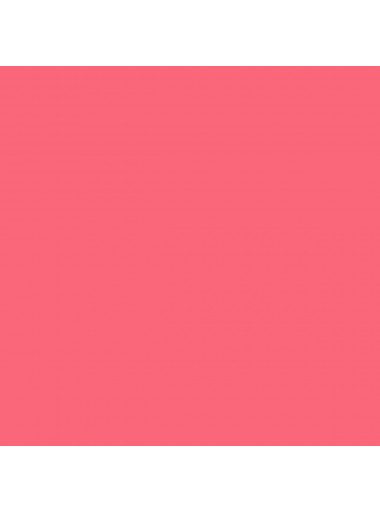 VINILO CRICUT PREMIUM CRC-2007713 30x120cm