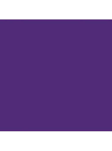 HOJAS TRANSFERENCIA CRICUT INFUSIBLE INK CRC-2008886 11x30cm