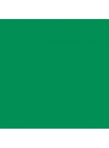 VINILO CRICUT PERMANENTE CRC-2007716 30x122cm