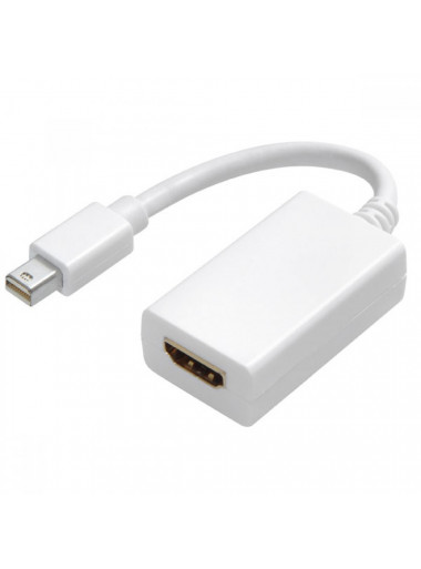 CONECTOR VIVANCO MINI DISPLAY PORT 45495