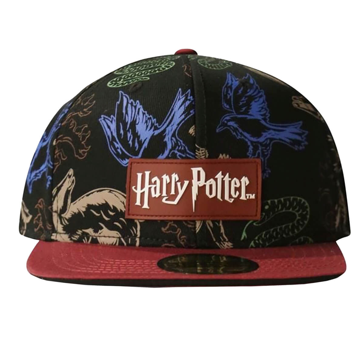 GORRA HARRY POTTER SB265154HF